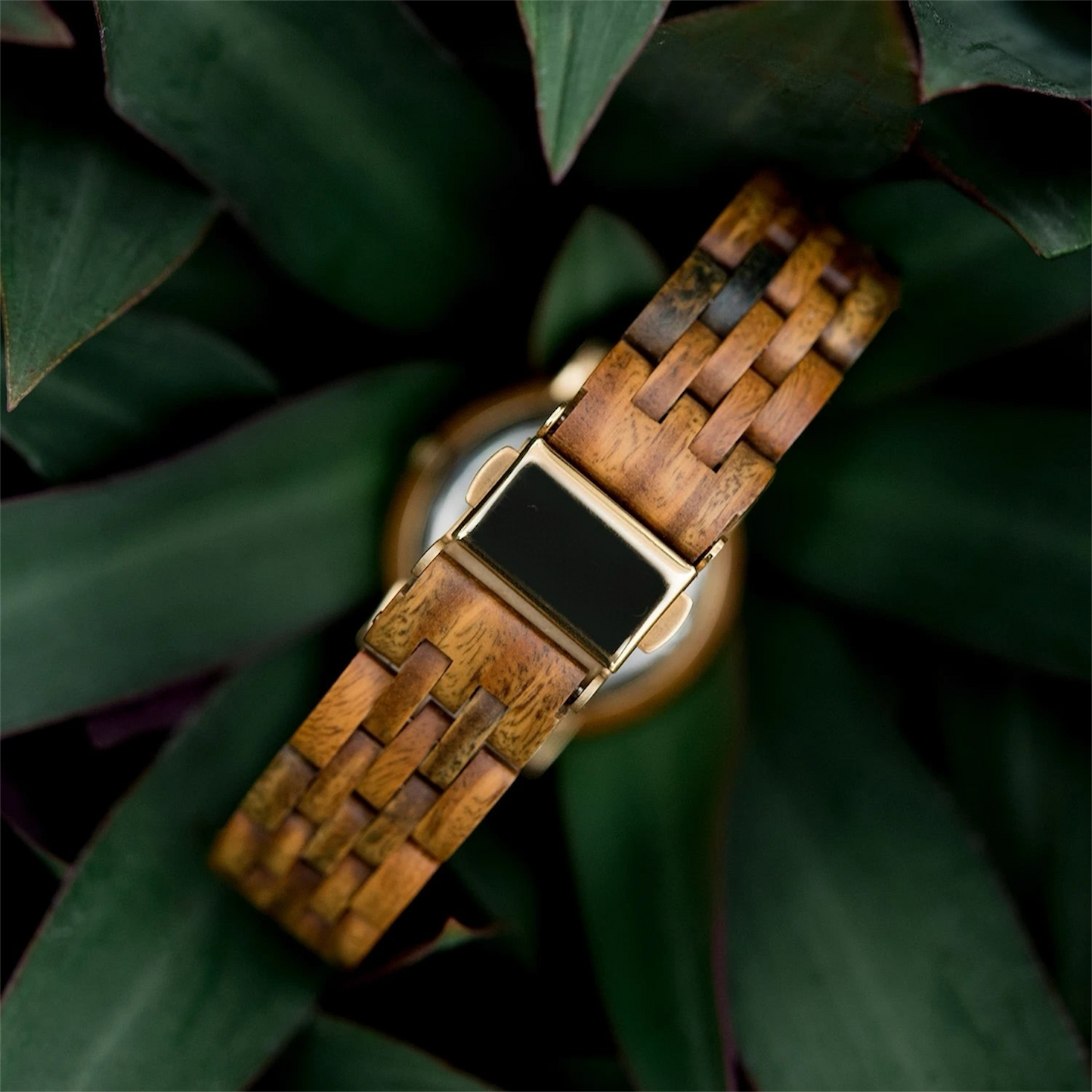Bracelet fin en bois et acier inoxydable et fermoir de la montre Alva, style féminin et discret.